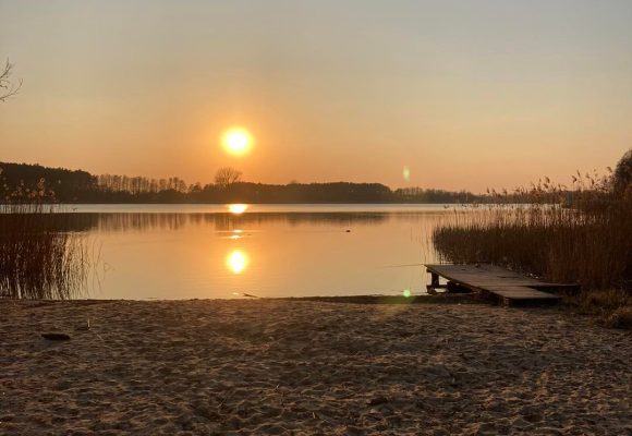 278606977_381133584025259_2156477101268404378_n