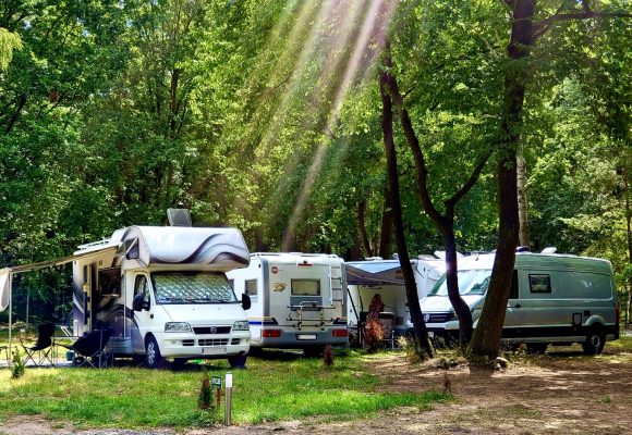 c94498cc-1ceb-4013-937d-def53f2a638c 2